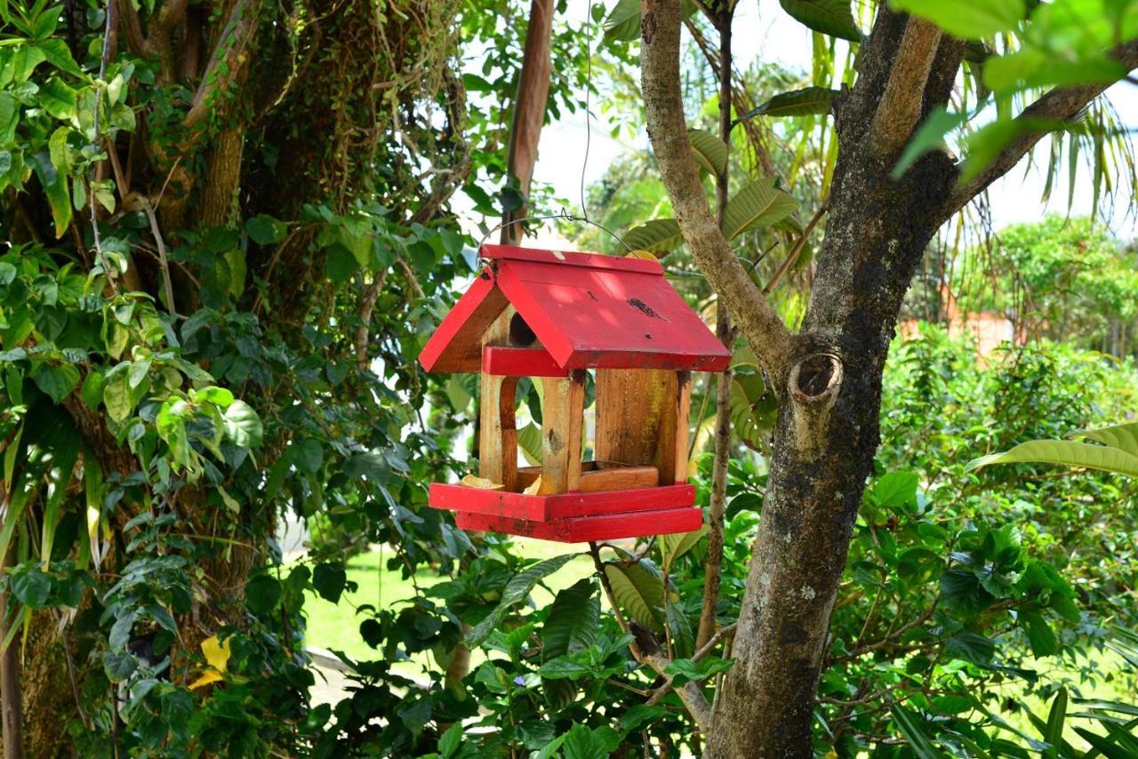 Pousada Arquipelago Hotel Florianopolis Luaran gambar