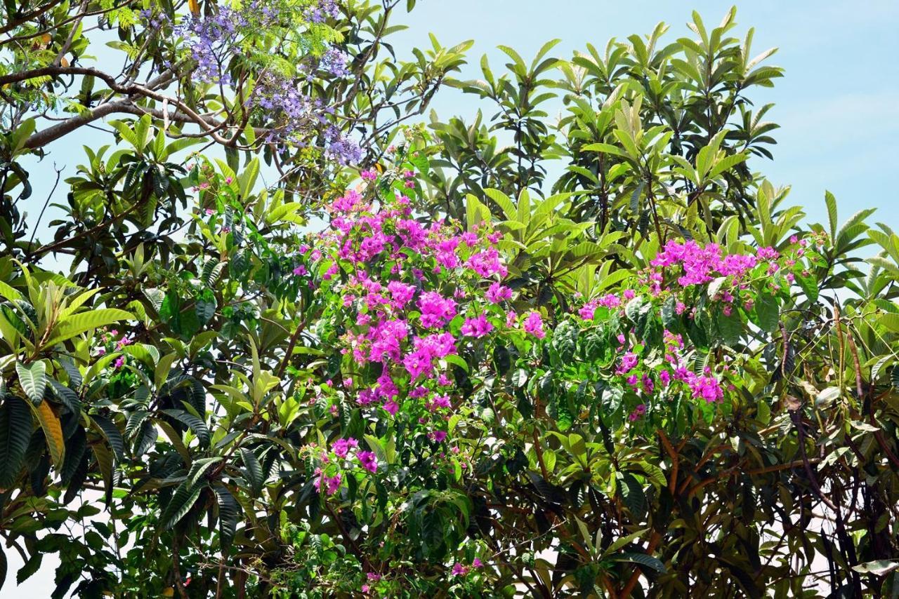 Pousada Arquipelago Hotel Florianopolis Luaran gambar